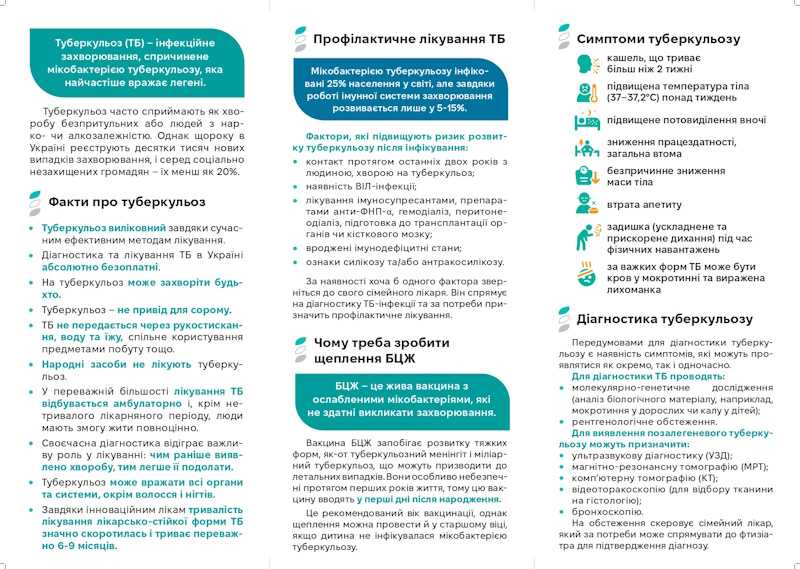 Профілактичне лікування ТБ